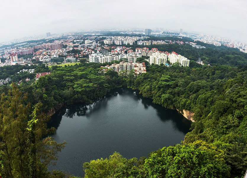 City in Nature