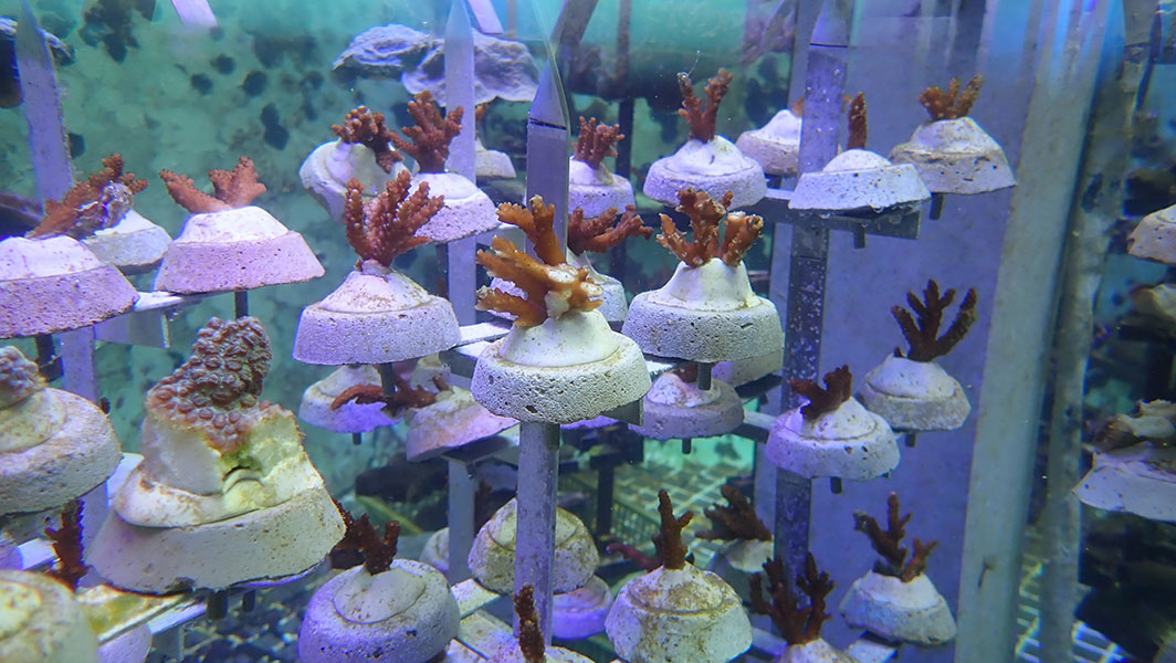 Marine Park Outreach and Education Centre