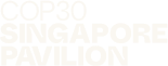 COP30 Logo Reserve