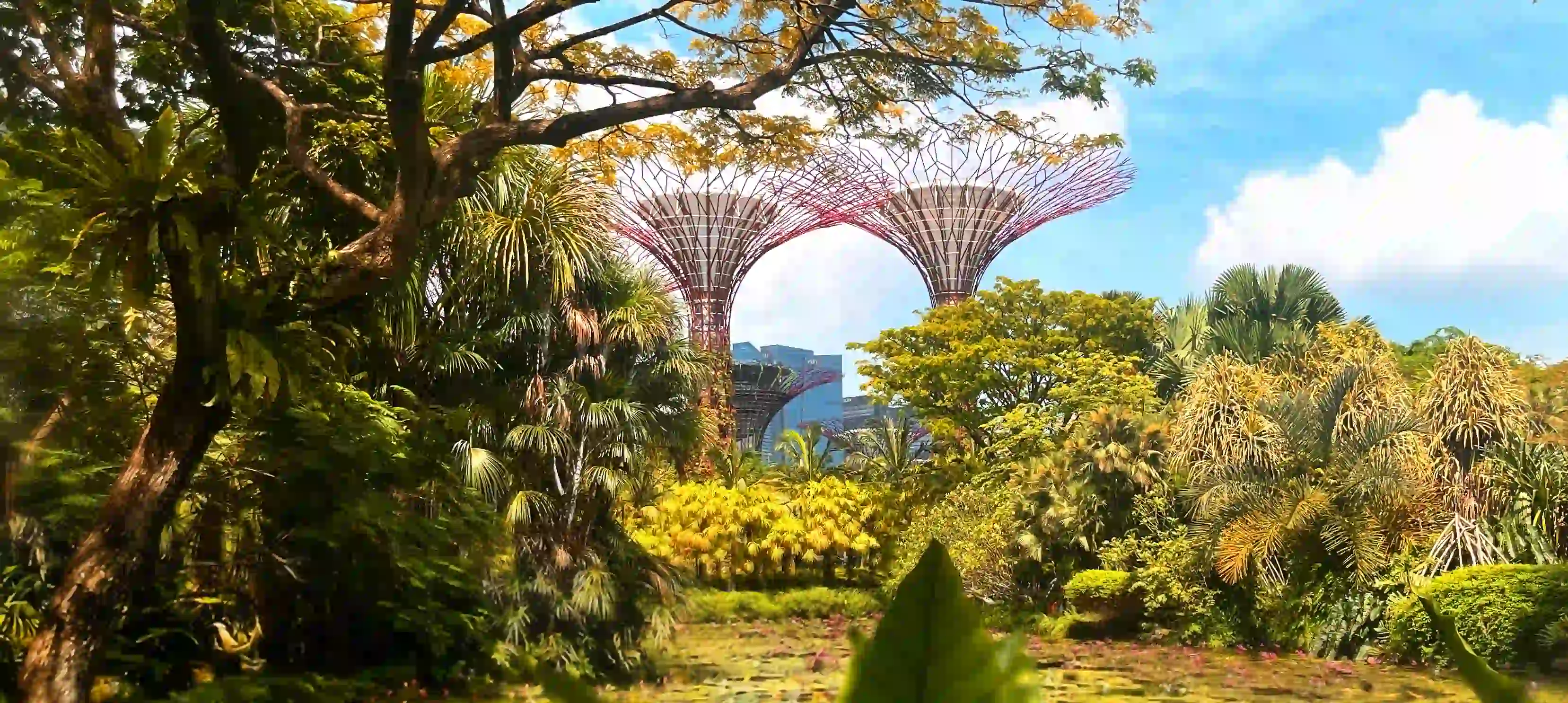 Gardens by the Bay, Singapore