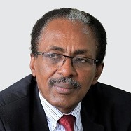 H.E. Prof. Fekadu Beyene Aleka