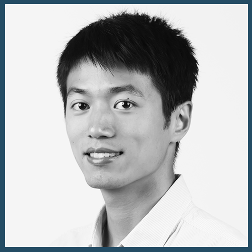 Assoc Prof Liu Ziwei