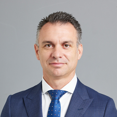 Mr. Vlad Mrdak